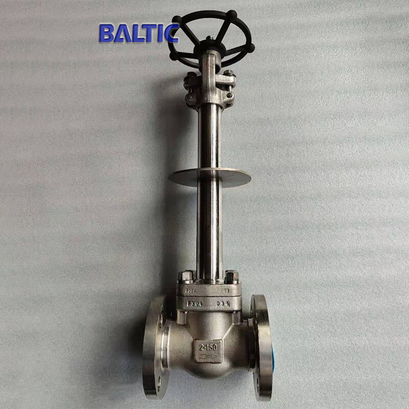 Extension Stem Globe Valve, ASTM A182 F304, 2 IN, 150 LB, RF