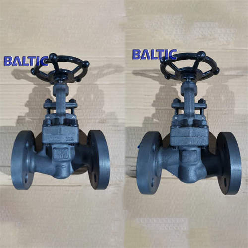 Forged Steel S Globe Valve, 1.0460, DN20, PN40, RF, DIN 3356