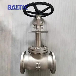 ASME B16.34 Cryogenic Globe Valve, ASTM A351 CF8, DN150, PN16