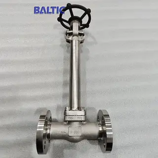 Class 300 LB Cryogenic Globe Valve, 1 IN, ASTM A182 F304, RF