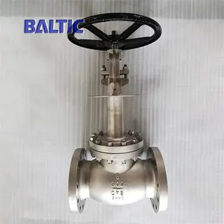 Rising Stem Cryogenic Globe Valve, A351 CF8, 6 Inch, 300 LB