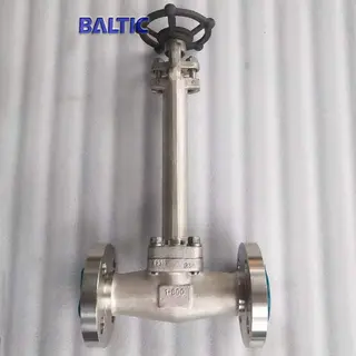 Class 600 LB Cryogenic Globe Valve, 1 IN, API 602, A182 F316