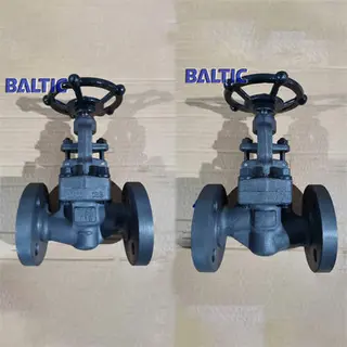 Forged Steel S Globe Valve, 1.0460, DN20, PN40, RF, DIN 3356