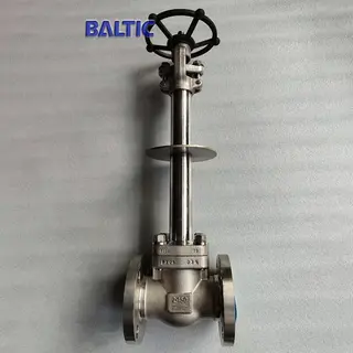 Extension Stem Globe Valve, ASTM A182 F304, 2 IN, 150 LB, RF