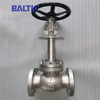 ASTM A351 CF8 Cryogenic Globe Valve, 3 Inch, 300 LB, RF