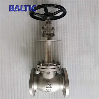 ASTM A351 CF8 Cryogenic Globe Valve, BS 1873, 4IN, 150 LB