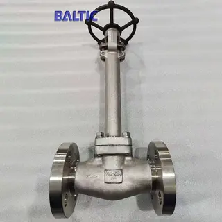 RF Flanged Cryogenic Globe Valve, 1-1/2 Inch, 600 LB, F304