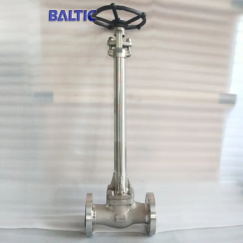 ASTM A182 F321 Cryogenic Globe Valve, 2 IN, 300 LB, API 602 - Baltic