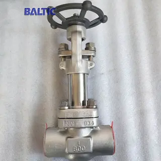API 602 Cryogenic Globe Valve, 1 IN, 800 LB, A182 F304, SW