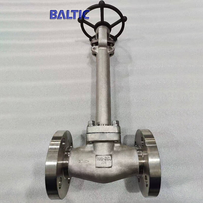 RF Flanged Cryogenic Globe Valve, 1-1/2 Inch, 600 LB, F304
