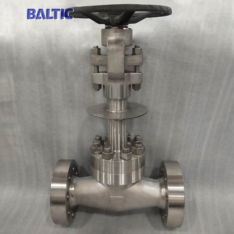 Stainless Steel Cryogenic Globe Valve, 2 Inch, 2500 LB, SW