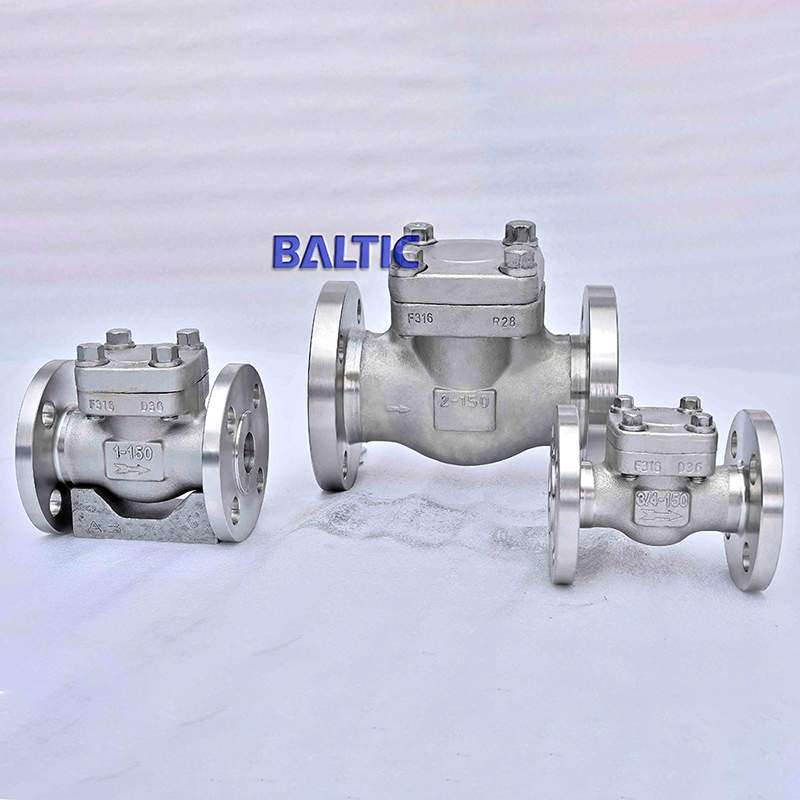 1-1/2 Inch Swing Check Valve, ASTM A182 F316, 150 LB, RF