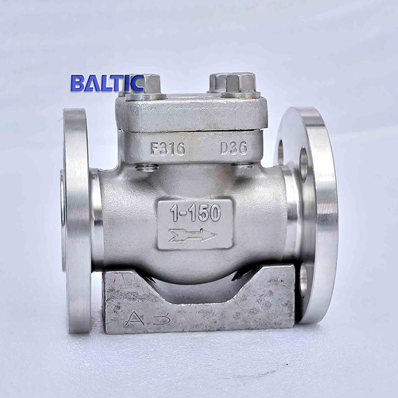 1 Inch 150 LB Check Valve, ASTM A182 F316, API 602, RF