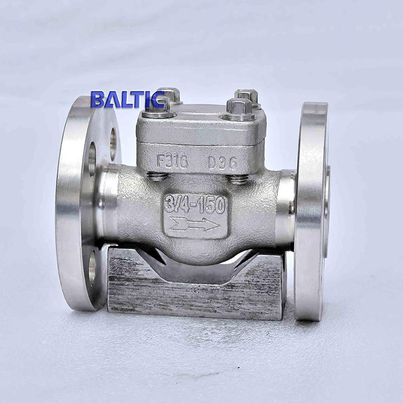 3/4 Inch Swing Check Valve, A182 F316, 150 LB, RF Ends