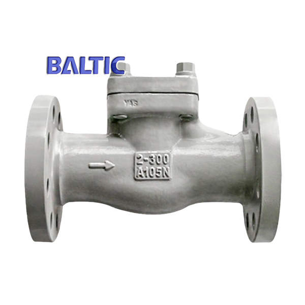 API 602 Lift Check Valve, ASTM A105N, 2 Inch, Class 300 LB, RF Baltic