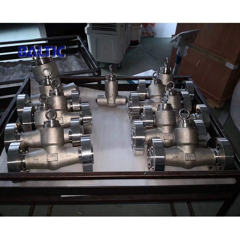 ASTM A182 F321 Swing Check Valve, 1 IN, CL2500, API 602