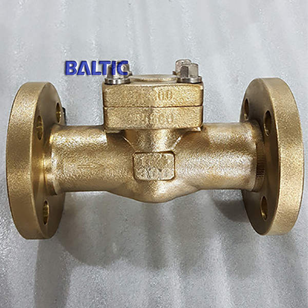 ASTM B148 C95800 Lift Check Valve, 1.1/2 Inch, 300 LB, RF