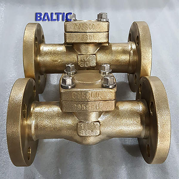 ASTM B148 C95800 Swing Check Valve, 1.1/2 Inch, 300 LB, RF