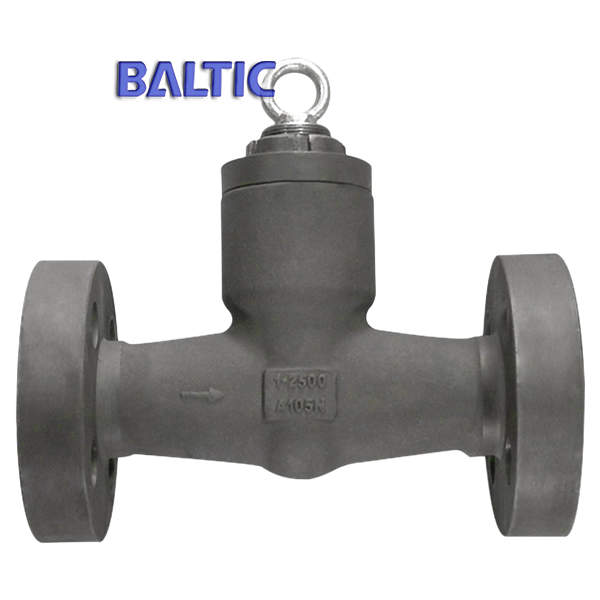 Forged Steel PSB Swing Check Valve, ASTM A105N, 1 Inch, 2500 LB, RF