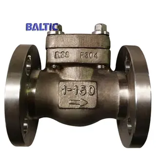 ASTM A182 F304 Small Size Lift Check Valve, 1 Inch, 150 LB, RF
