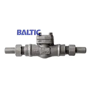 Forged Steel Swing Check Valve with Welded NPT, A105N, DN20, PN260
