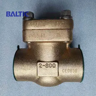 API 602 Swing Check Valve, ASTM B148 C95500, 2 Inch, 800 LB