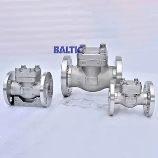 1-1/2 Inch Swing Check Valve, ASTM A182 F316, 150 LB, RF