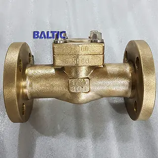 ASTM B148 C95800 Lift Check Valve, 1.1/2 Inch, 300 LB, RF