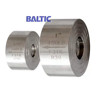 ASTM A182 F316 Check Valve, 1 Inch, Class 150 LB, API 602, RF
