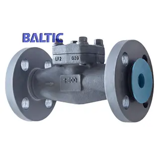 Integral Flanged Lift Check Valve, A350 LF2, 1 Inch, 600 LB,API 602