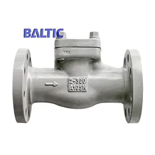 API 602 Lift Check Valve, ASTM A105N, 2 Inch, Class 300 LB, RF