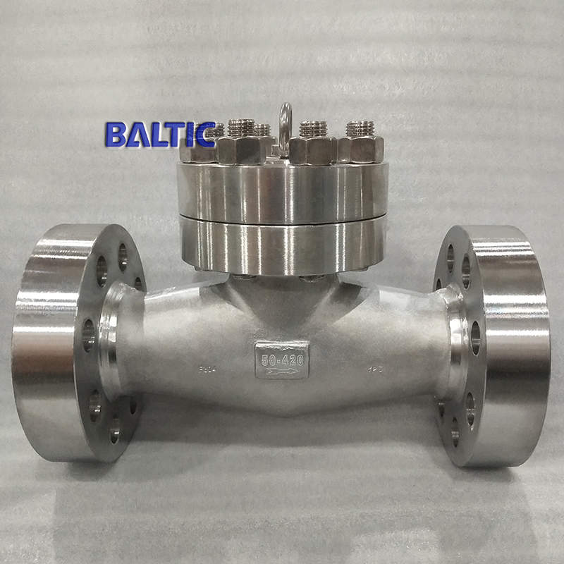 Swing Check Valve with Eyebolt, A182 F304, DN50, PN420
