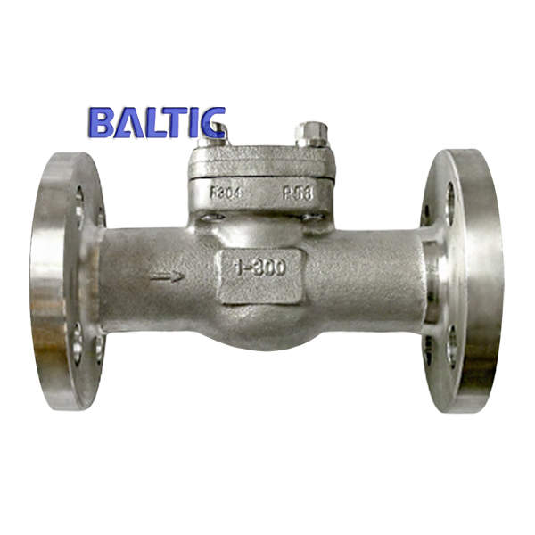 Swing Type Check Valve with Integral Flange, F304, 1 Inch, 300 LB