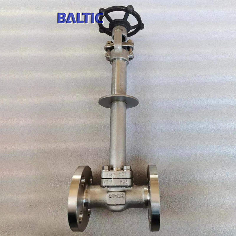 3/4 Inch CL300 Cryogenic Gate Valve, A182 F316, API 602