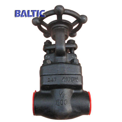 A105N Small Gate Valve, Bolted Bonnet, 1/2IN, CL800, NPT X SW