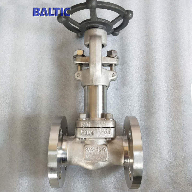 API 602 Extended Stem Gate Valve, A182 F304, 3/4IN, CL150