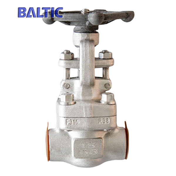API 602 Forged Steel Gate Valve, ASTM A182 F316, DN15, PN63, BW