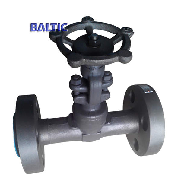 API 602 Small Size Gate Valve, 3/4IN, CL600, A105N, RF Flanged