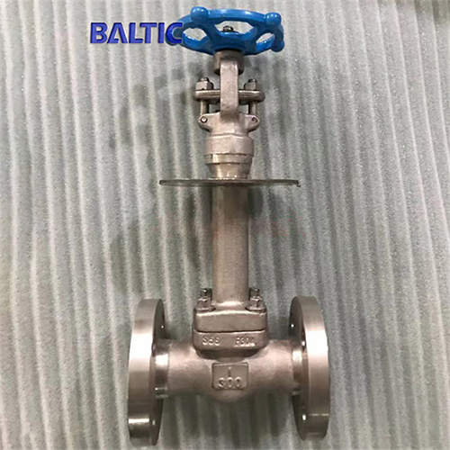 API 602 Stainless Steel Cryogenic Gate Valve, 1 Inch, 300 LB