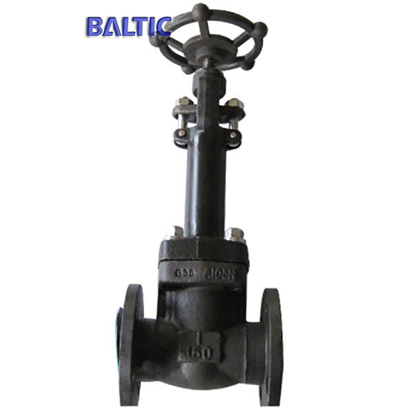 ASTM A105N Gate Valve, Extension Stem, API 602, 1IN, 150LB, RF