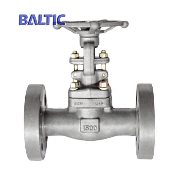 ASTM A105N Gate Valve with Integral Flange, 1 Inch, 1500 LB