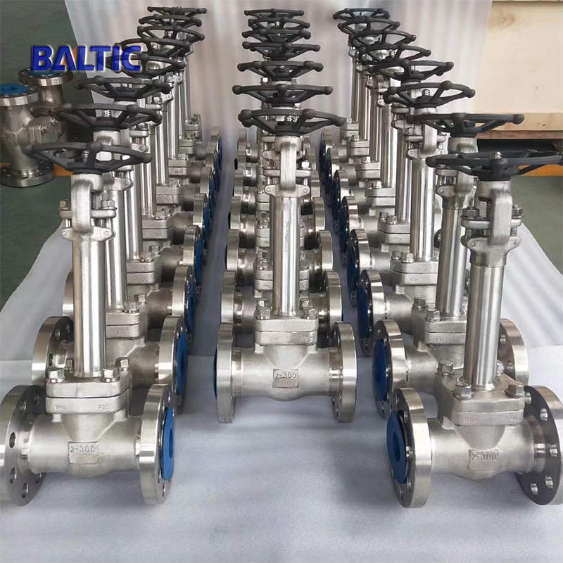 ASTM A182 F304 Cryogenic Gate Valve, 2IN, 300 LB, API 602