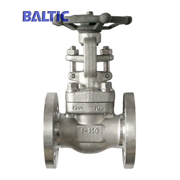 ASTM A182 F304 Gate Valve, 1 Inch, Class 150 LB, API 602, RF
