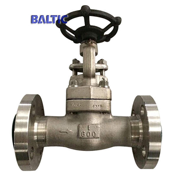 ASTM A182 F316 Forged Steel Gate Valve, 1IN, CL600, API 602, RF