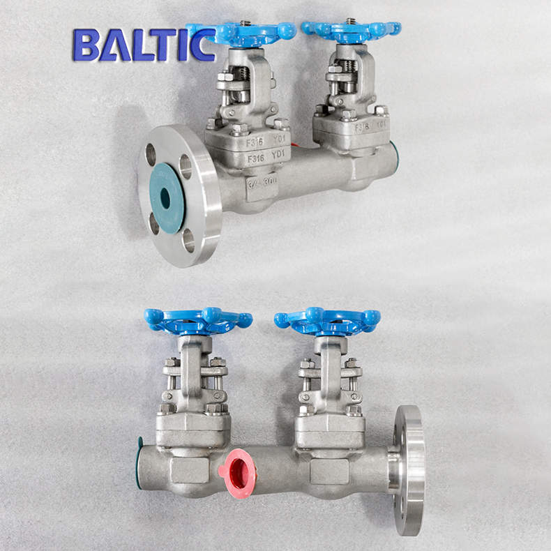 ASTM A182 F316 Gate Valve, API 602, 3/4 Inch, 300 LB, Flange, BW