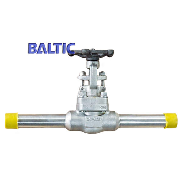 ASTM A182 F321H Gate Valve, 3/4 Inch, 800 LB, API 602, BW