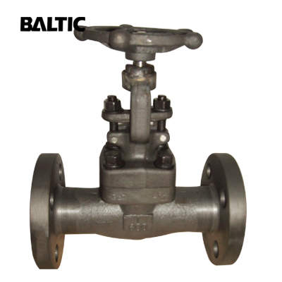 ASTM A182 LF2 Forged Steel Gate Valve, 1 Inch, CL600, RF