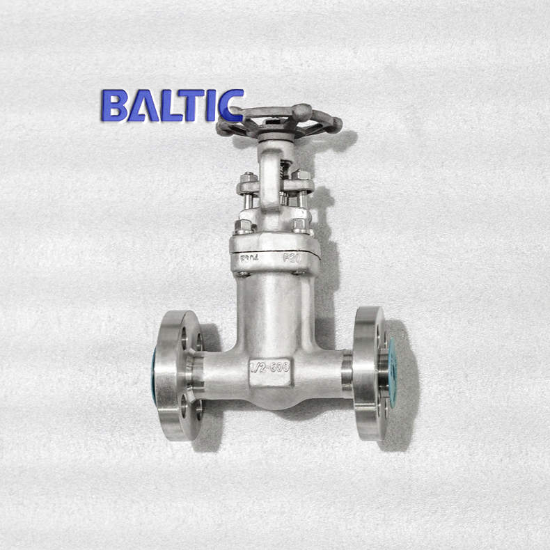 Bellow Seals Gate Valve, API 602, ASTM A182 F304, 1/2 Inch, 600 LB
