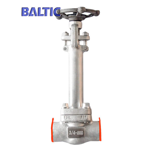 Butt-Weld Forged Steel Gate Valve, F316, 3/4 Inch, 800 LB, API 602