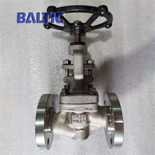 DIN 3356 S-Type Globe Valve, Full Bore, 1.4301, DN25, PN40